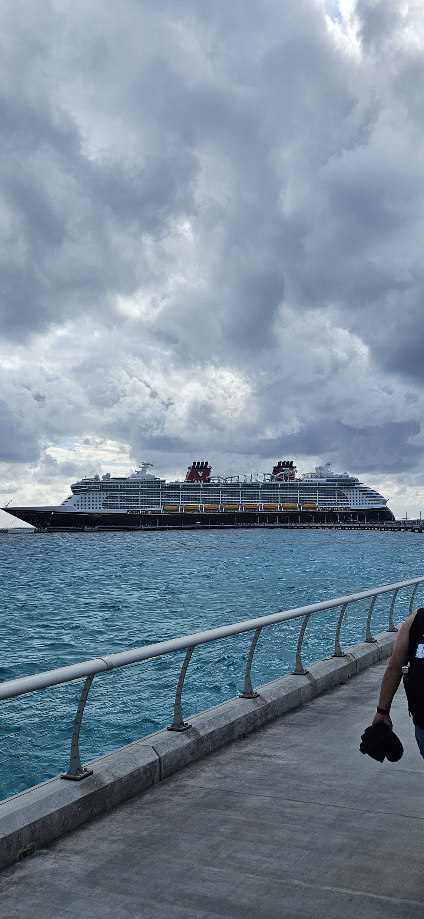 Disney Cruise ship at port